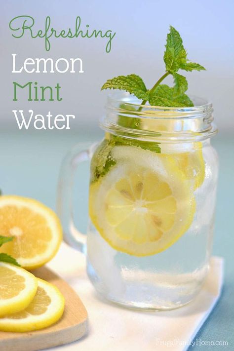 A Super Easy Summer Drink, Lemon Mint Water Overnight Oats Chocolate, Mint Infused Water, Lemon Mint Water, Lemon Water Health Benefits, Lemon Juice Benefits, Hot Lemon Water, Lemon Health Benefits, Lemon Uses, Mint Water