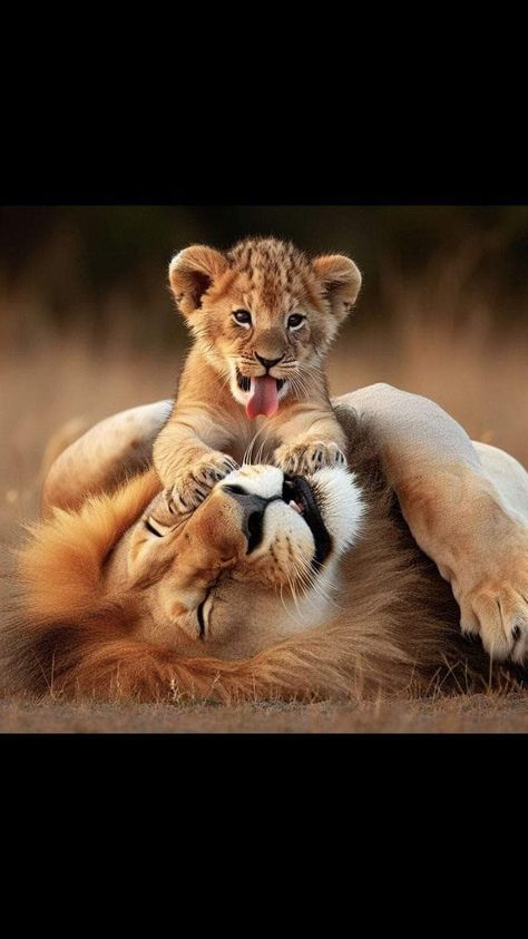 Wild Animal Wallpaper, Lion Cubs, Lion Photography, Wild Baby, Wild Animals Pictures, Lion Images, Big Cats Art, Lion Pictures, Cute Lion