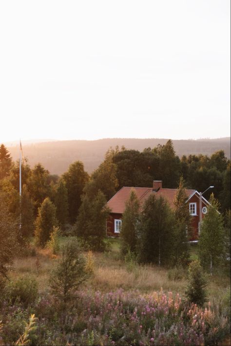 Swedish Forest Aesthetic, Swedish Cottage Aesthetic, Swedish Summer Cottage, Summer House Sweden, Forest Living Aesthetic, Rural Life Aesthetic, Sweden Summer Aesthetic, Sweden Aesthetic Summer, Swedish Mountains