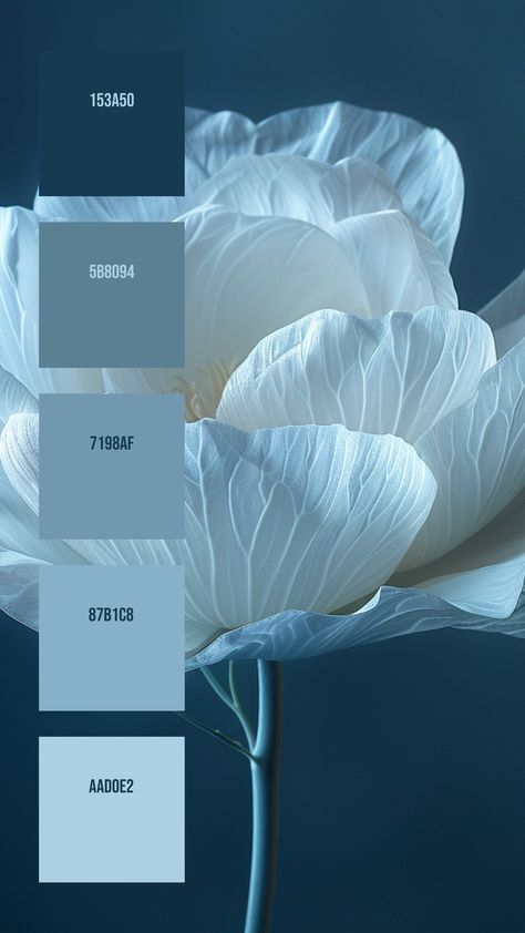 Colors:
153A50
5B8094
7198AF
87B1C8
AAD0E2 Nature Color Combination, Ethereal Colors, Low Saturation Color Palette, Blue Aesthetic Palette, Blue Earth Tone Color Palette, Blue Colour Palettes, Air Color Palette, Aesthetic Color Combinations, White Palette