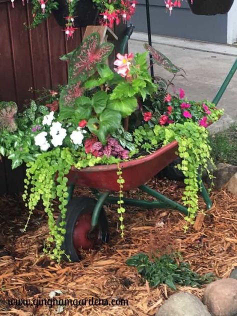 Garden Vignettes, Gerobak Dorong, Repurposed Junk, Wheelbarrow Planter, Creative Garden Decor, Wheelbarrow Garden, Creeping Jenny, Flowers And Greenery, Garden Junk