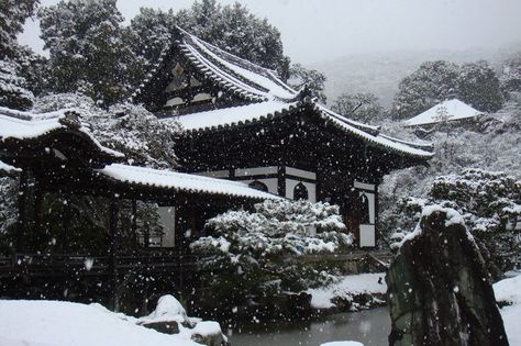 winter Snow Header, Dark Temple, Japan Winter, Japanese Music, Japan Aesthetic, Aesthetic Japan, Winter Aesthetic, Winter Photography, Nature Aesthetic