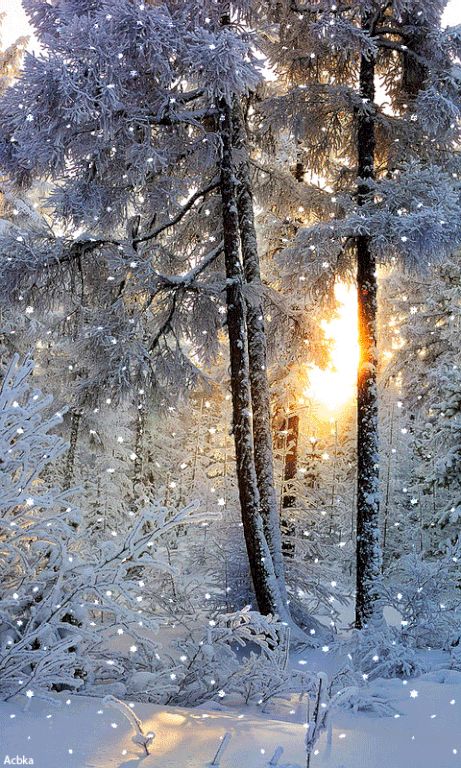 Beautiful Winter Pictures, Štědrý Den, Winter Christmas Scenes, Beautiful Winter Scenes, Christmas Scenery, Winter Szenen, Winter Images, Winter Love, Airbrush Art