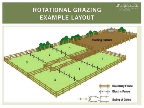 Farm Structure Ideas, Horse Paddock Ideas Layout, Mini Farm Layout Ideas, Rotational Grazing Layout, Goat Pasture Ideas, Farm Plans Layout Design, Rotational Grazing, Poultry Farm Design, Livestock Shelter