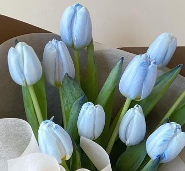 not my photo Blue Tulips Aesthetic, Aesthetic Azul, Turquoise Aesthetic, Blue Flowers Bouquet, Tulips Art, Blue Tulips, Nothing But Flowers, Favorite Flower, Flower Therapy