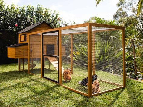 Chicken Coop Ideas, Coop And Run, Walk In Chicken Coop, Chicken Coop Garden, Patio Design Ideas, Chicken Coup, Chicken Coop Run, Backyard Chicken Farming, Coop Ideas