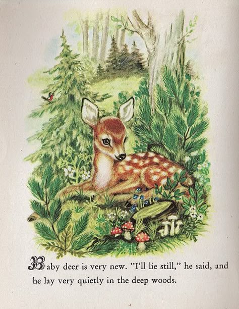 Baby Deer    From "Animal Babies," written by Kathryn and Byron Jackson with illustrations by Adele Werber, Little Golden Books, Simon and Schuster, NY, 1947.    I love this sweet fawn, and the   scrollwork font used on the letter "B."    Many of the pages in this copy have been colored on with crayon, pen and pencil by "BABYLION THE BUSY," which is scrawled in a childish hand inside the front cover (I'll have to scan it!). Still, it's a lovely little find. Postal Vintage, Animal Babies, Deer Art, Vintage Deer, Children's Book Illustrations, Animal Illustrations, Oh Deer, Baby Deer, A Deer