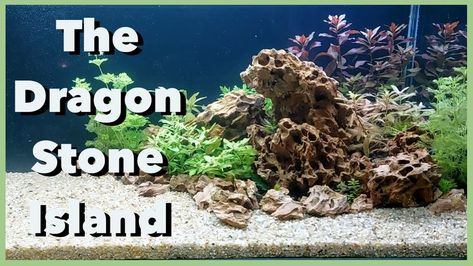 The dragon stone is a very beautiful stone that is used a lot in aquascaping, in this video I will introduce this beautiful stone in an island aquascape that I created using just dragon stone, gravel and some low tech or low energy plants Island Aquascape, Dragon Stone Aquascape, Stone Aquascape, Dragon Stone, Low Tech, Aquascaping, Low Energy, Stone Island, The Dragon