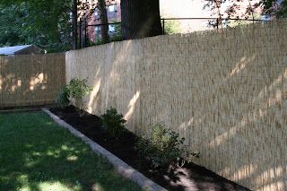 Stephanie, Brian and Grandma's House: Reed Fence Reed Fence, House Reed, Fences Alternative, Reed Fencing, Backyard Plan, Privacy Fences, Grandma's House, Backyard Inspiration, Chain Link Fence