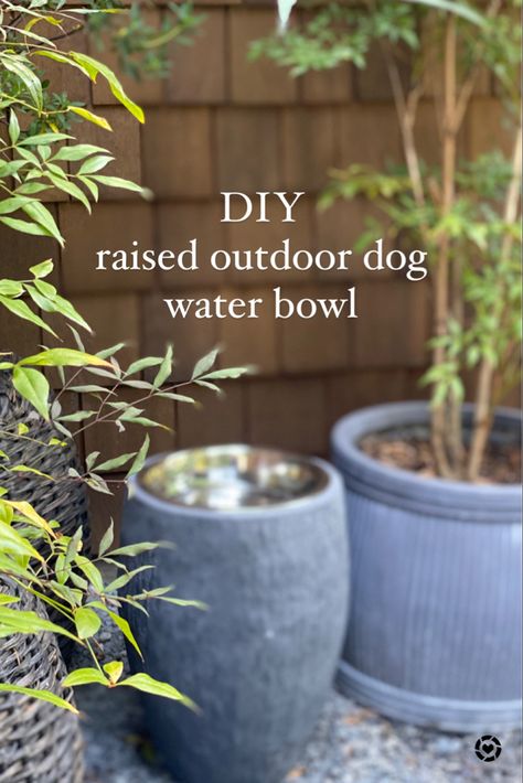 Make this raised dog water bowl fpr your garden! Raised Dog Bowls Diy, Dog Bowls Diy, Dog Water Bowl, Raised Dog Bowls, Stainless Steel Dog Bowls, Dog Water Bowls, House Updates, Diy Water, Instagram Diy