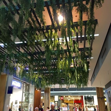 Ceiling Plants Hanging Restaurant, Trellis Ceiling Interior Design, Ceiling Trellis Interior, Hanging Plant Trellis, Ceiling Plants Hanging, Hanging Greenery Ceiling, Plant Ceiling Decor, Plants Hanging From Ceiling, Hanging Plants Ceiling