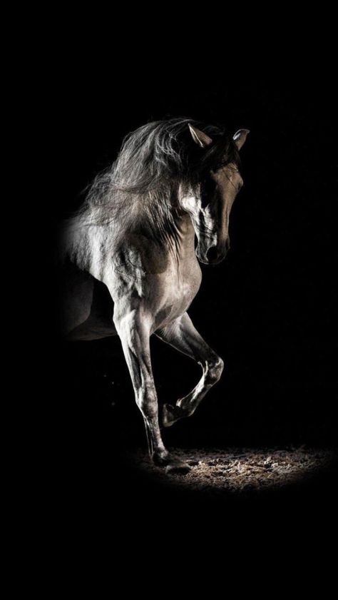 Wallpaper Horse Aesthetic, Wallpaper Horses, Aesthetic Horse Riding, Cavalry Charge, Wallpaper Horse, Aesthetic Medieval, Aesthetic Horse, Horse Background, Medieval Horse