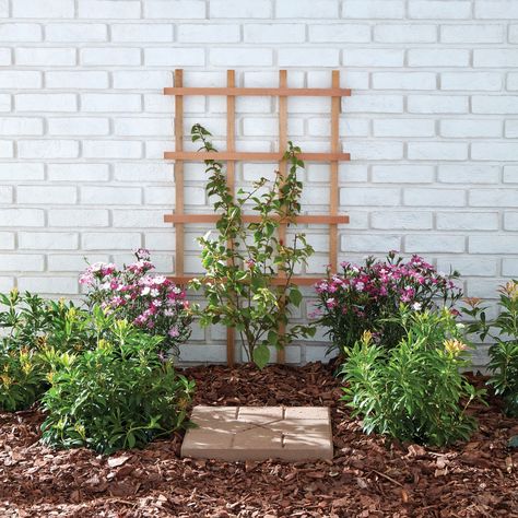 Front Yard Trellis, Timber Floating Shelves, Yard Trellis, Cedar Trellis, Climbing Trellis, Trellis Ideas, Cedar Garden, Trellis Design, Garden Trellis