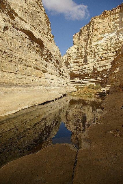 Ein Avdat Canyon, The Negev Desert, South Israel. Historical Fiction Novels, Gods Creation, Holy Land, Sunset Pictures, Historical Fiction, Beautiful Words, Monument Valley, Places To Travel, Natural Landmarks