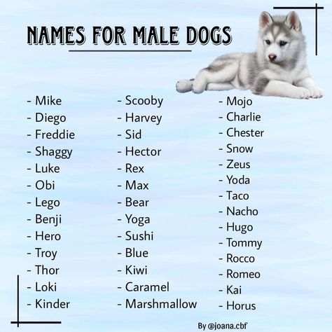 Husky Names Male, Male Puppy Names, Puppy Names Boy, Names For Male Dogs, Male Dog Names Unique, Rare Dog Names, Puppy Names Unique, Aesthetic Dog Names, Rottweiler Names