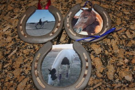 Completed Project: Horse Shoe Photo Frame Picture #1 Pictures Of Horses, Life Songs, Closets Ideas, Shoe Photo, Horseshoe Ideas, Horse Shoe Nails, 4h Projects, 4h Ideas, Horse Shoe Tattoo