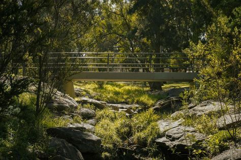 mystical . . . . shot on sony a6400 16-50mm edited on adobe lightroom #photography #photographer #photo #cinematic #cinematicphotgraphy #cinematography #shotonsony #aesthetic #videography #nature #naturephotography Nature Cinematography, Cinematic Forest, Cinematic Forest Photography, Cinematic Field Photography, Forest Cinematography, Adobe Lightroom, Cinematography, Nature Pictures, Lightroom