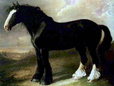 BRITISH DRAUGHT HORSES IN THE 19TH CENTURY Most Famous Paintings, Mustang Horse, Equestrian Art, Horse Drawings, Draft Horses, Equine Art, Oil Painting Reproductions, Black Horse, Arte Animal