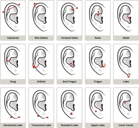 Ear Piercing Diagram, Auricle Piercing, Snug Piercing, Ear Piercings Chart, Piercing Chart, Double Ear Piercings, Ear Lobe Piercings, Types Of Ear Piercings, Helix Piercings