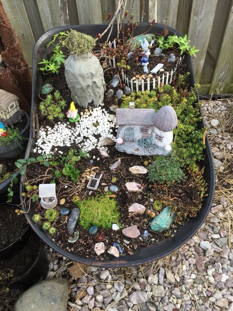 Tiny Gardens, Dream Fairy, Fairy Things, Fairy Homes, Mini Gardens, Fairy Cottage, Cement Pots, Fairy Garden Accessories, Tree Stump