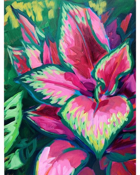 Sari Shryack // Artist on Instagram: “Pretty in pink💕💕💕 Check out this Aglaonema Lady Valentine. 🌿💕🌿 . . Thank you to @perfectchoicenursery for the photo inspiration 🙏 #aglaonema” Sari Shryack, Plant Painting, Simple Acrylic Paintings, Tropical Art, Flower Art Painting, Art Painting Acrylic, Plant Art, Pastel Art, Painting Art Projects