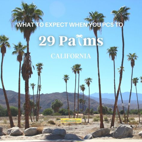 What to Expect When You PCS to Marine Corps Base 29 Palms, California Twenty Nine Palms California, California Fan Palm, 29 Palms California, Desert Getaway, Moorpark California, 29 Palms California Marines, Pacific Palisades California, 29 Palms, Tenant Screening