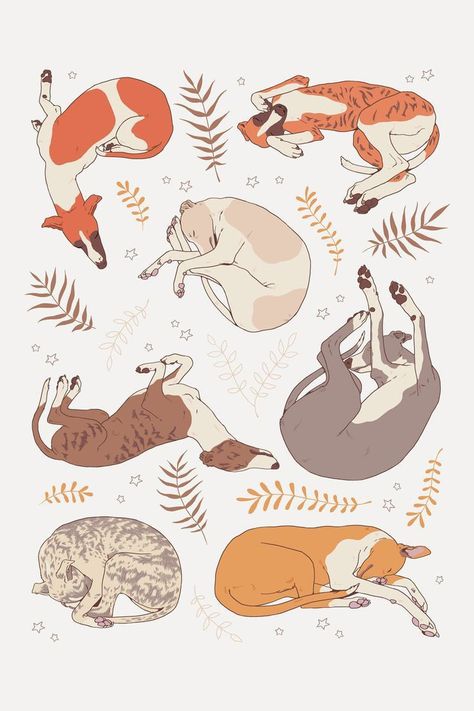 Cozy Room Drawing, Woodland Mural, Dog Illustration Art, Dog Sleeping Positions, Sleeping Drawing, Back Drawing, Manga Watercolor, Cozy Fall Vibes, Room Drawing