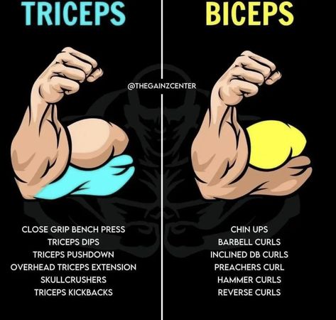 Biceps Exercise, Bodybuilding Women, Bicep And Tricep Workout, Boxing Training Workout, Workout Gym Routine, Gym Workout Guide, Best Gym Workout, Gym Workout Planner, Full Body Workout Routine