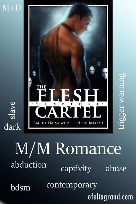 Capture (The Flesh Cartel 1) by Rachel Haimowitz and Heidi Belleau - mm romance, gay romance books #mmromance #gayromancebooks Mm Dark Romance Books, Gay Dark Romance Books, Mm Book Recommendations, Romance Book Ideas, Mm Books, Books Recs, Book Review Journal, Gay Romance Books, Steamy Romance Books