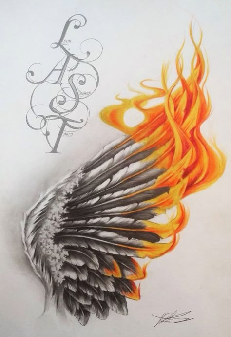 ❝Don't dwell over what could have been, if there's no chance it could… #fanfiction # Fanfiction # amreading # books # wattpad Tattoo Feather, Phönix Tattoo, Kunst Tattoos, Phoenix Tattoo Design, Wings Drawing, Angel Wings Tattoo, Phoenix Art, Trendy Tattoo, Initial Tattoo