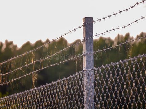 Close-up of barbed wire fence against clear sky stock images Barb Wire Fence Ideas, Razor Wire Fence, Barbed Wire Fence Aesthetic, Cat On A Fence, Barbed Wire Transparent, Barbed Wire Fencing, Wire Fence, Barbed Wire, Clear Sky