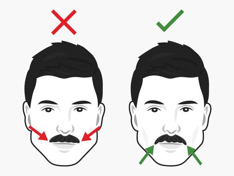 Horseshoe Mustache, Movember Mustache, Mustache Shapes, How To Trim Mustache, Mustache Grooming, Moustache Style, Growing Facial Hair, Cool Mustaches, Growing A Mustache