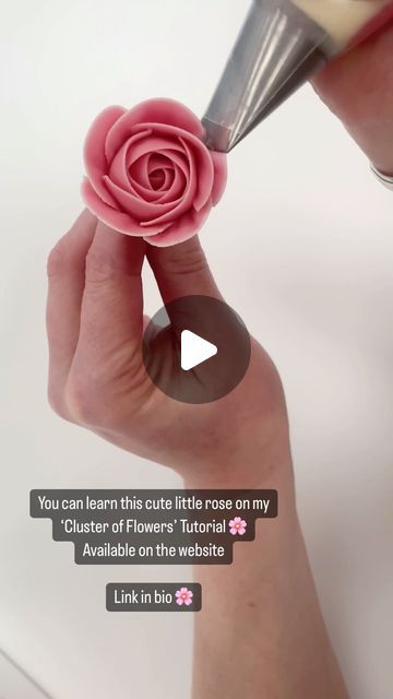 Alice Ward on Instagram: "124k mini rose tutorial on the website 🌸💕  This tutorial will show how to pipe two different mini roses with 2 different nozzles as well as some two tone tulips.  It is the longest in duration out of my individual tutorials and costs £8. www.petalsbakehouse.co.uk/tutorials  . #cake #cupcakes #cupcakedecorating #flowers #piping #edibleflowers #buttercreamflowers #petalsbakehouse" Piping Flowers On Cake Simple, Russian Rose Piping Tips, Wilton Flower Tutorial, How To Make A Frosting Rose, Piped Roses On Cake, Mini Rose Cupcakes, Piping Roses Tutorial, How To Pipe A Rose On A Cupcake, Flower And Fruit Cake