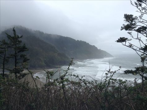 Foggy Coast Aesthetic, Foggy Coast, Oregon Coast Aesthetic, Coast Aesthetic, Images Esthétiques, Oregon Coast, Nature Aesthetic, Flowers Nature, Pretty Places