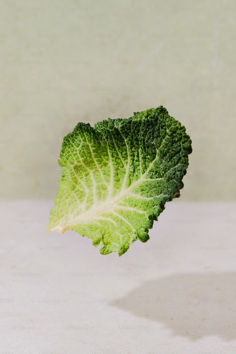 A leaf of broccoli on a white surface photo – Savoy cabbage Image on Unsplash Cabbage Image, Creative Commons Images, Savoy Cabbage, Picture Tree, Beach Images, Food Backgrounds, Healthy Ingredients, Green Vegetables, Greens Recipe