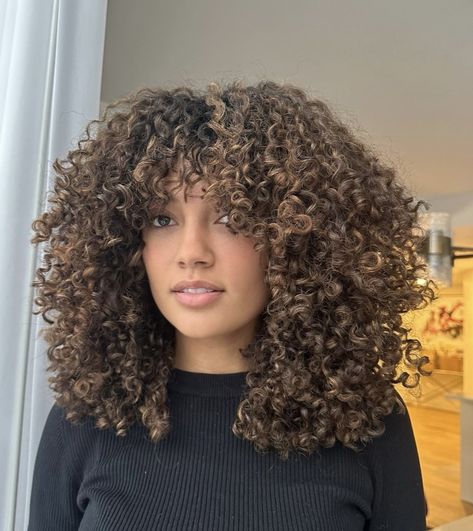 Curly Hair Bangs Highlights, 3c Highlights, Chocolate Brown Hair On Tan Skin, 4c Highlights, Colored Curly Hair Black Women, Blonde Highlights And Bangs, Caramel Brown Curly Hair, Ash Brown Curly Hair, Curly Hair Color Ideas Balayage