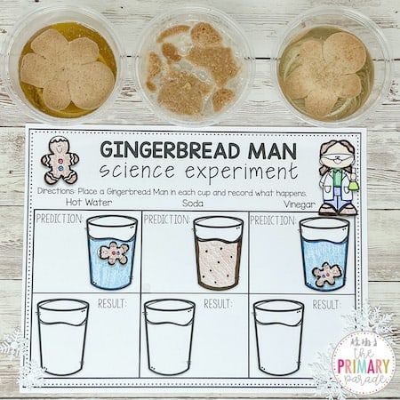 Easy gingerbread man science experiment for kids to do this Christmas. Fun Christmas gingerbread activities for kids. Gingerbread Man Science, Gingerbread Activities Preschool, Gingerbread Man Kindergarten, Gingerbread Kindergarten, Gingerbread Man Preschool, Gingerbread Man Unit, Christmas Science Experiments, Gingerbread Man Crafts, Gingerbread Unit