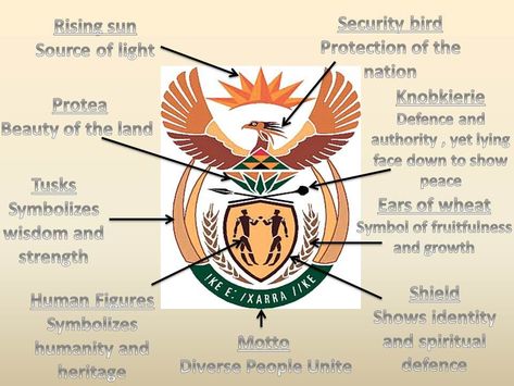 South African Symbols, South African National Symbols, South African Coat Of Arms, Coat Of Arms Meaning, Led Classroom, South Africa Facts, Heritage Day South Africa, South Africa Quotes, Africa Facts