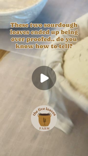 ALI  - Saved by Jesus + Sourdough on Instagram: "First.. 👇🏼

These two are made for our house to eat.. 

And we will still eat them

But here’s some ways to tell if your sourdough is over proofed👇🏼

📌Overproofed dough tends to look puffy and swollen. It might have lost its structure and appear deflated or collapsed in some areas. The surface may have large air bubbles or blisters.

📌When you touch overproofed dough, it will feel delicate and fragile. It lacks the firmness and elasticity of properly proofed dough. You might notice a slack or loose texture, and it may feel sticky or overly soft.

📌Gently poke the surface of the dough with your finger. If the indentation remains and doesn’t spring back slowly, it’s a sign of overproofing. Properly proofed dough should spring back sligh Over Proofed Sourdough, Overproofed Sourdough, Dough Proofing, Air Bubbles, Our House, A Sign, Be Still, To Tell, Dough