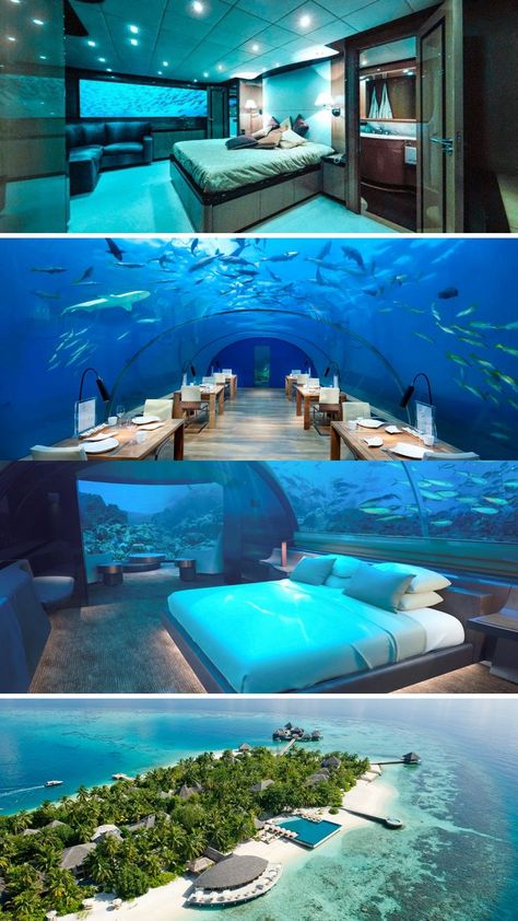 Underwater hotels around the world Underwater Hotel Florida, Underwater Resort, Dubai Underwater Hotel, Maldives Underwater Hotel, Dream Activities, Underwater Hotel Room, Underwater Room, Best Hotels In The World, Bulletproof Clothing