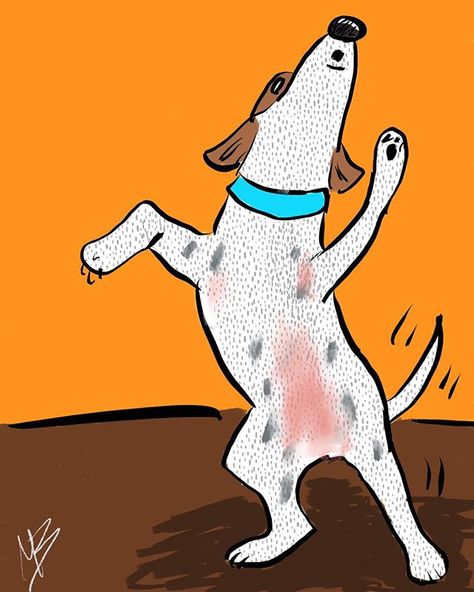 Dog Dancing Drawing, Dog Dancing Illustration, Dancing Illustration, Dancing Drawing, Pee Pee, Ugly Dogs, Dog Pics, Cartoon Drawing, Dog Illustration