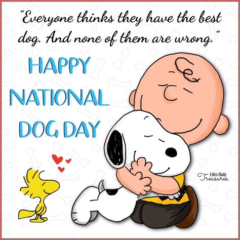 National Holiday Calendar, Snoopy Holiday, Goodnight Snoopy, Tweety Bird Quotes, Peanuts Quotes, Charlie Brown Quotes, Happy National Dog Day, International Dog Day, International Days