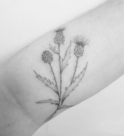 Stick N Poke, Hand Poked Tattoo, Stick And Poke, Minimal Tattoo, Leaf Tattoos, Maple Leaf Tattoo, Tatting, Tattoos, Instagram