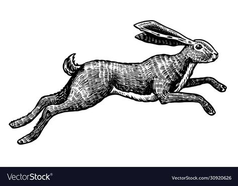 Wild hare or rabbit is jumping cute bunny vector image Jumping Hare Illustration, Hare Jumping Illustration, Rabbit Running Illustration, Rabbit Engraving, Hare Running, Bunny Vector, Running Rabbit, Running Illustration, Hare Illustration