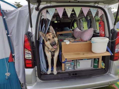 Citroen Berlingo Micro Camper Conversion Ideas | Van Website Camper Conversion Ideas, Caddy Camping, Berlingo Camper, Caddy Camper, Vw Caddy Maxi, Minivan Camper, Kangoo Camper, Minivan Camper Conversion, Custom Mercedes