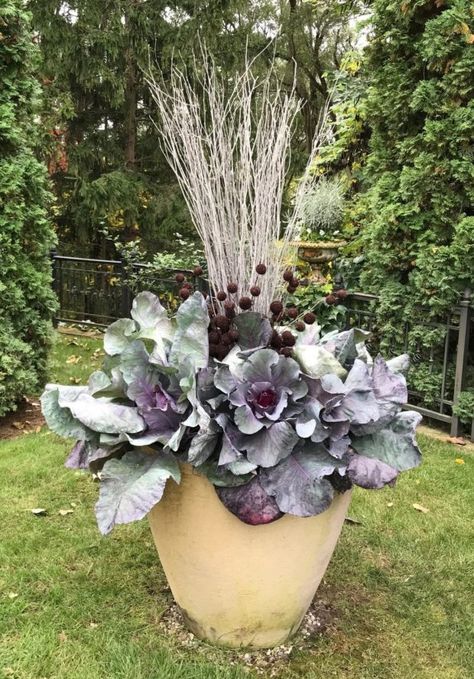 Recent Work | Dirt Simple Fall Potted Plants, Fall Garden Planting, Shade Plants Container, Full Sun Container Plants, Fall Container Plants, Fall Pots, Deborah Silver, Fall Container Gardens, Ornamental Cabbage