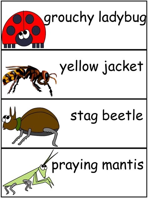 Grouchy Ladybug Word Wall Words Bug Language Activities Preschool, The Grouchy Ladybug, The Grouchy Ladybug Activities Preschool, Grouchy Ladybug Activities Preschool, The Grouchy Ladybug Activities, Ladybug Facts For Preschool, Parts Of A Ladybug, The Very Grouchy Ladybug Activities, Classroom Chants