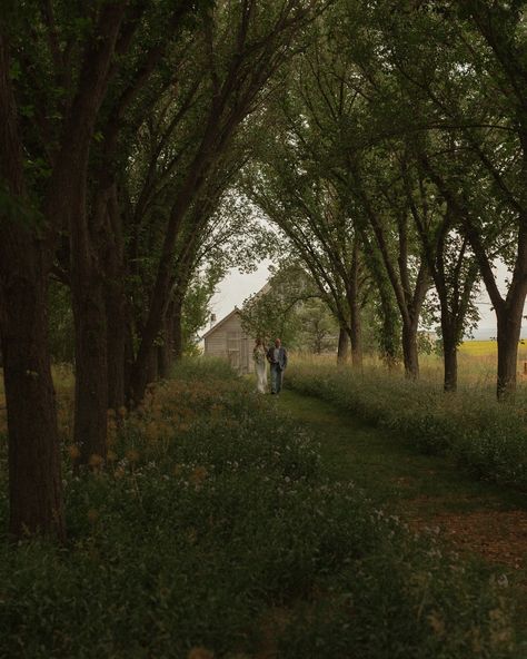 dreamy ceremony views �🤍 keywords: wedding photographer, Lethbridge wedding photographer, Alberta wedding photographer, cinematic, candid, documentary style photographer, wedding inspo, mountain wedding, couples, love #rockymountainbride #dirtybootsandmessyhair #authenticlovemag #weddingphotography #lethbridgeweddingphotographer #calgaryweddingphotographer #albertaweddingphotographer #bridal #ceremonydecor #documentaryphotography #cinematicphotography Dreamy Mountain Wedding, Appalachian Mountain Wedding, Appalachia Wedding, Field Wedding Ceremony, Appalachian Wedding, Alberta Wedding, Field Wedding, Couples Love, Mountain Bride