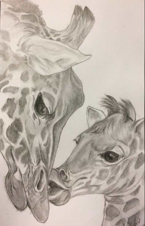 Pin by Bobbi Ell-Joyce on zoo animals | Animal drawings, Drawings, Art Drawing Ideas Giraffe, Giraffe Artwork, Drawings With Meaning, Giraffe Drawing, Pencil Drawing Images, Pencil Drawings Of Animals, Animal Illustration Art, Animal Drawings Sketches, Giraffe Art