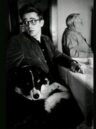 James Dean and his Border Collie Tuck James Dean Photos, Vintage Foto's, Polished Man, Jimmy Dean, Septième Art, Vintage Versace, Old Hollywood Stars, Marlon Brando, James Dean